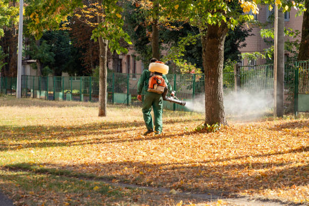 Best Best Pest Control Companies  in Merrill, IA