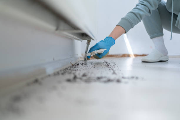 Best Local Pest Control Services  in Merrill, IA